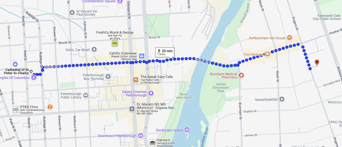The route for the annual Way of the Cross procession 