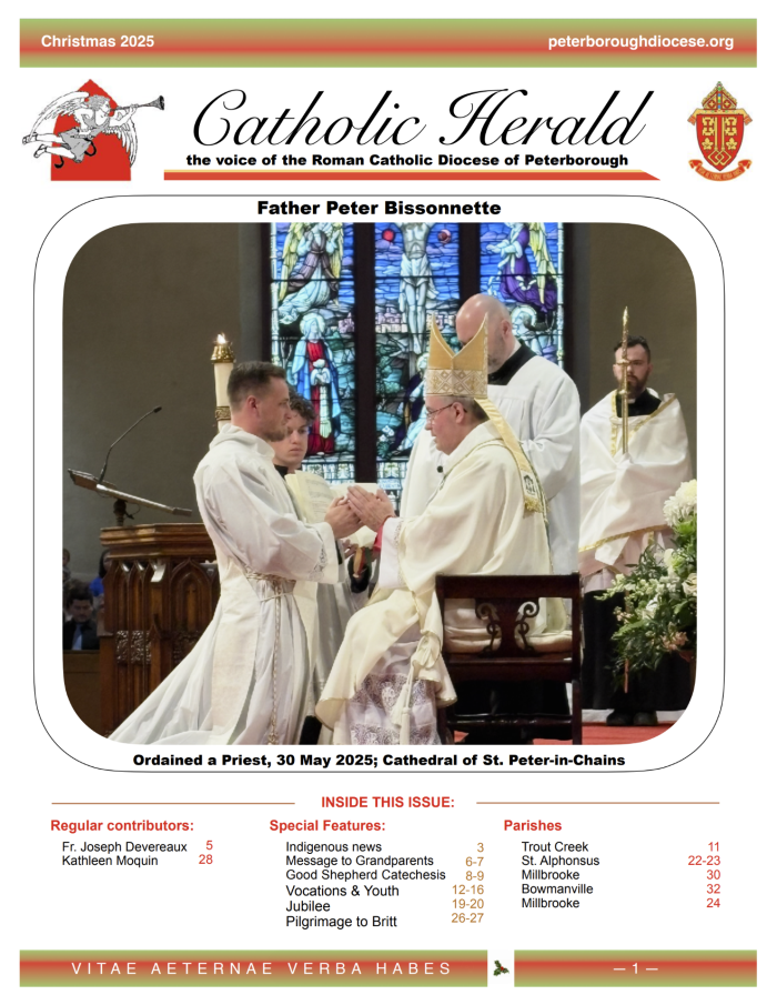 The Christmas issue of the Catholic Herald is now available online
