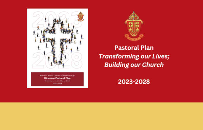 Diocesan Pastoral Planning and the Synod