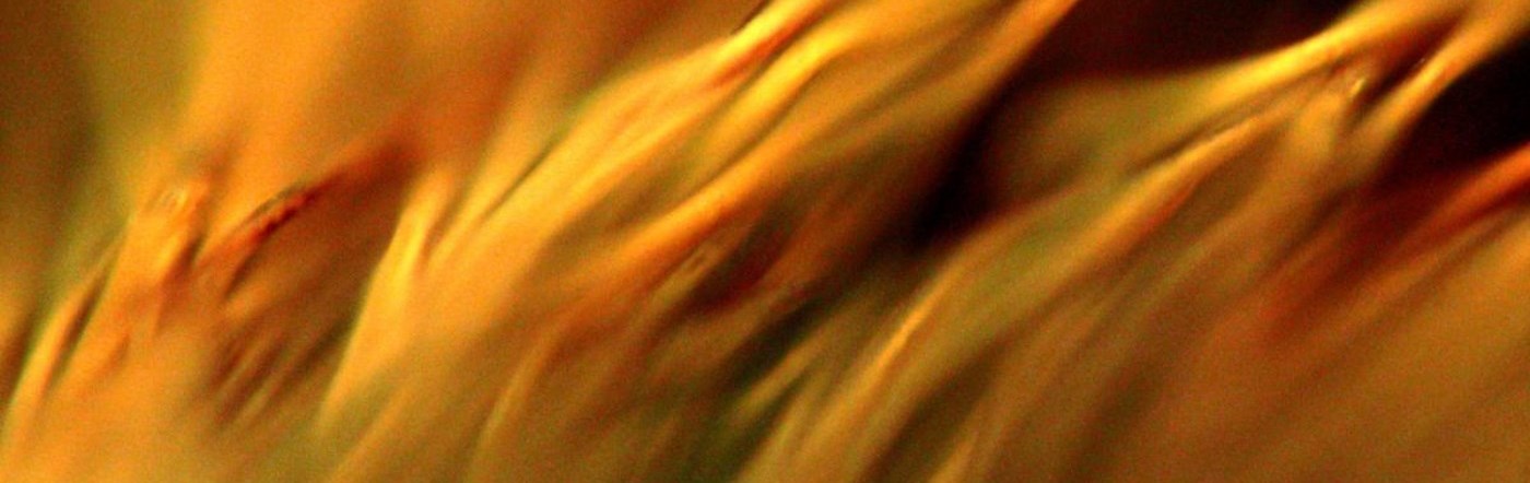 Image of the Holy Spirit