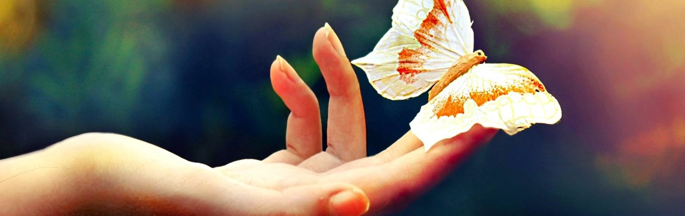 Hand holding a butterly
