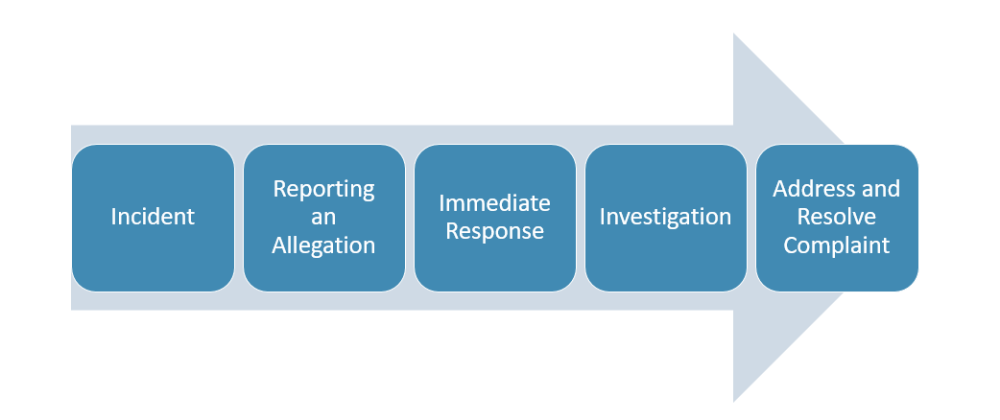 Visual Overview of the Policy Process Steps