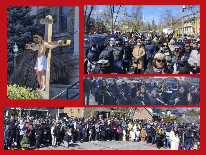 Way of the Cross 2024