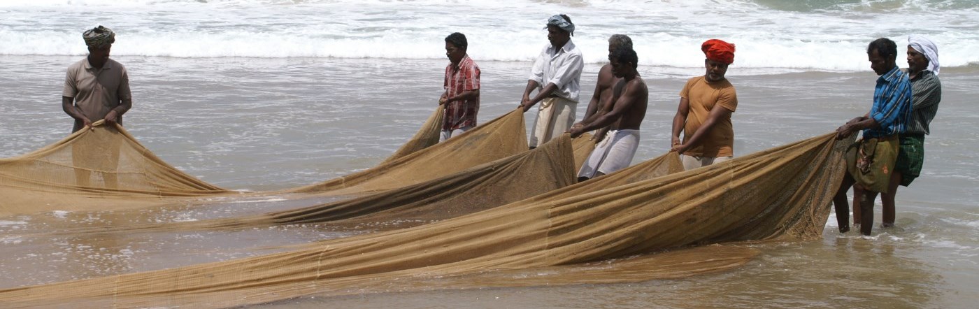 Fishermen bringing in their nets