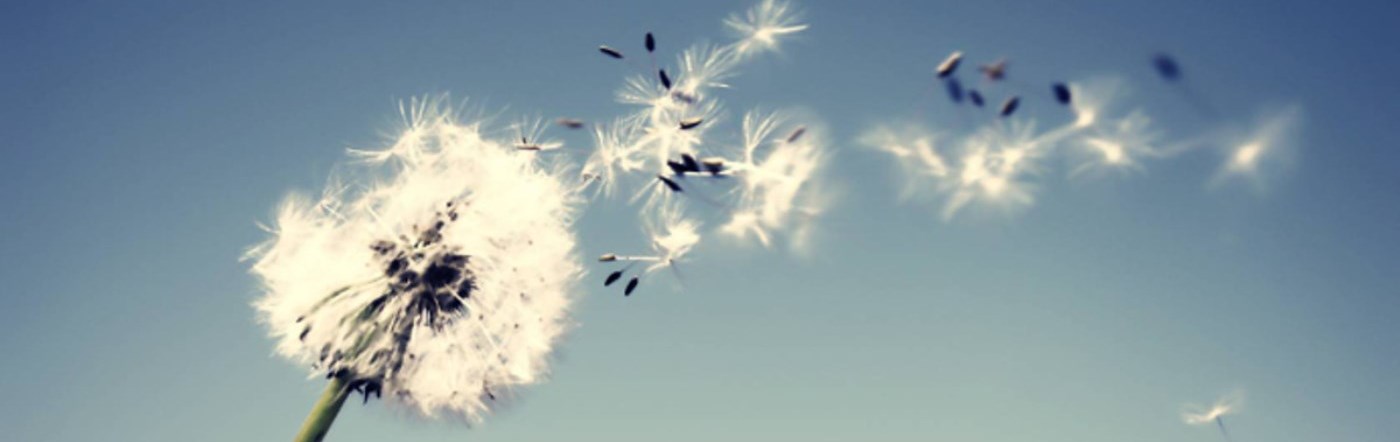 Flower shedding its growth