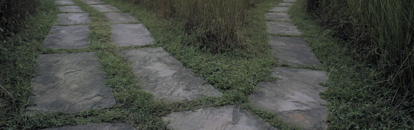 Pathways through the grasses