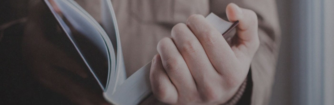 Hand holding the bible